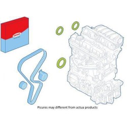 KITSI_DIS | TIMING BELT SEAL PSA-RO