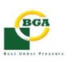 BGA